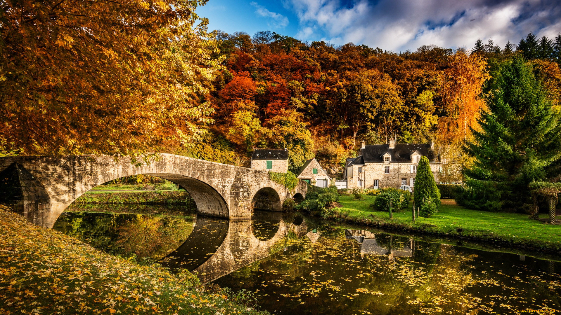 england, ������, - �����